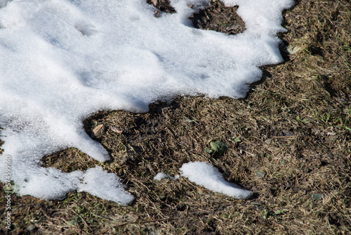 A snowdrift melts on a spring lawn