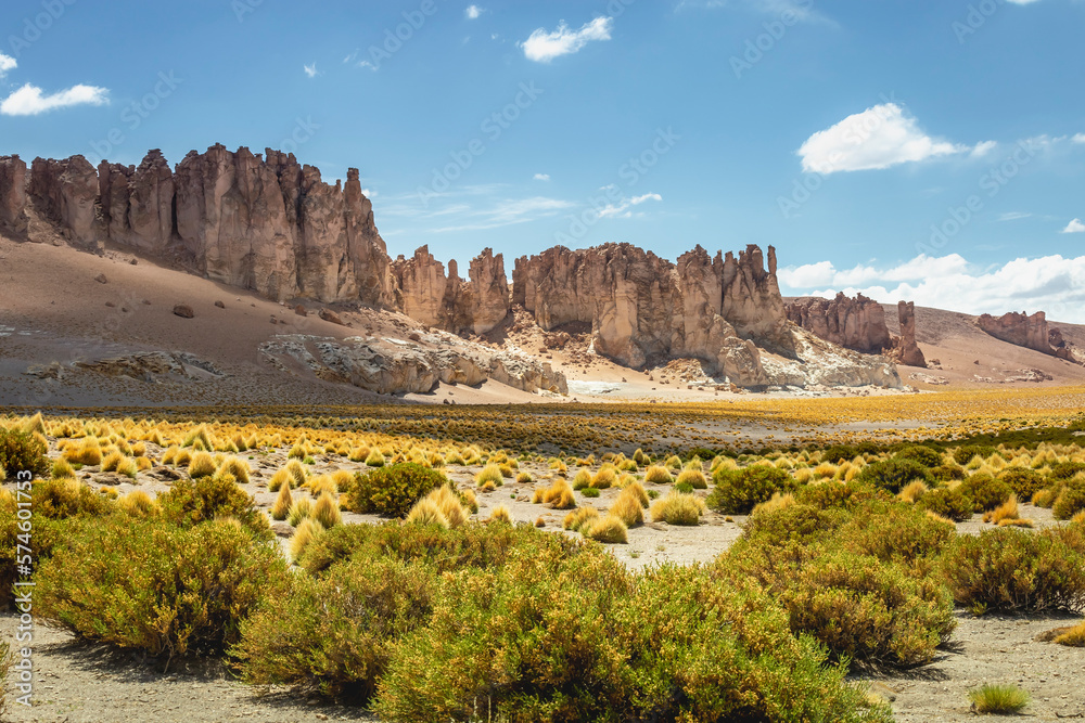 Atacama Desert dramatic volcanic landscape at Sunset, Chile, South America