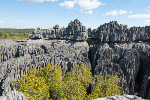 Tsingy de Bemaraha National Park. The Great Tsingy, Bekopaka, Madagascar. View of the limestone sharp rocks. 