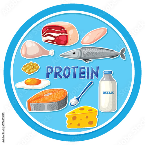 Variety of protein foods