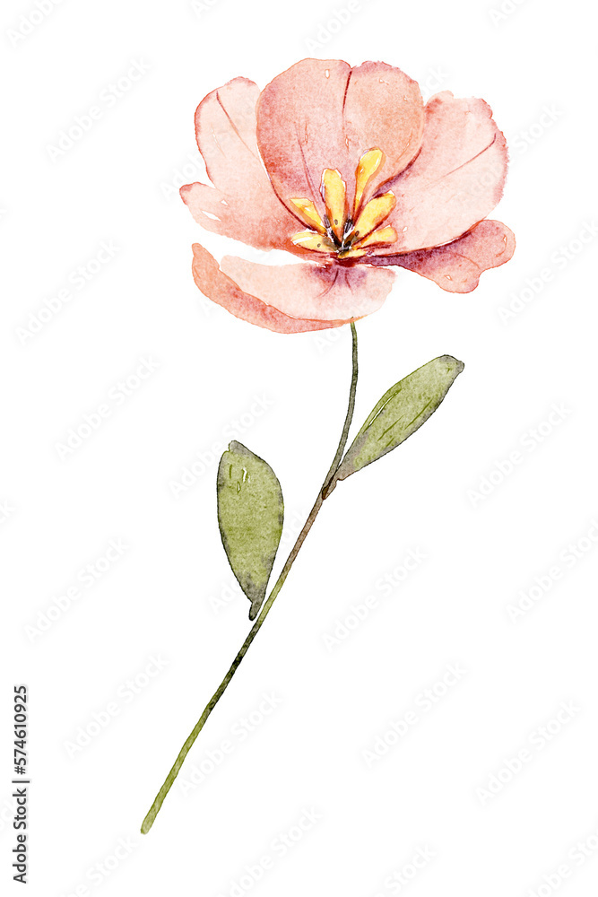Obraz premium Flower watercolor painting for greeting card, invitation, poster, wedding decoration and other printing image. Illustration isolated on white.