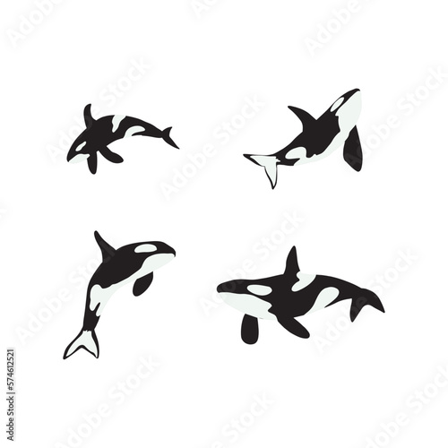 Orca whales. Sea animal killer whales. Marine animal in Scandinavian style.