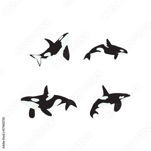 Orca whales. Sea animal killer whales. Marine animal in Scandinavian style.