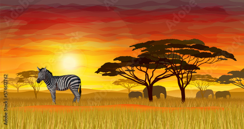 African zebra on bright ievening dusk background realistic vector illustration. Ideal for safari or wildlife park presentation.