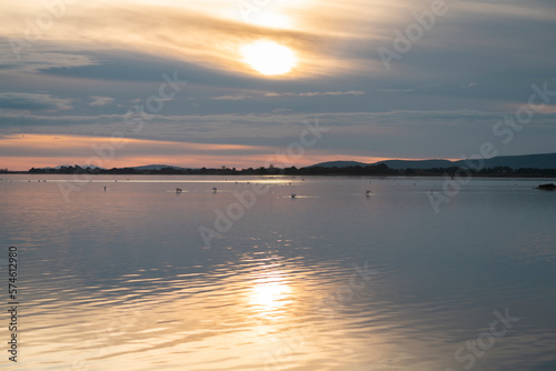 sunset over the lake with flamingos