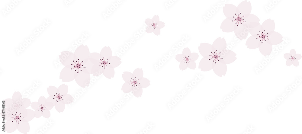 Beautiful pink Sakura Cherry Blossom illustration.