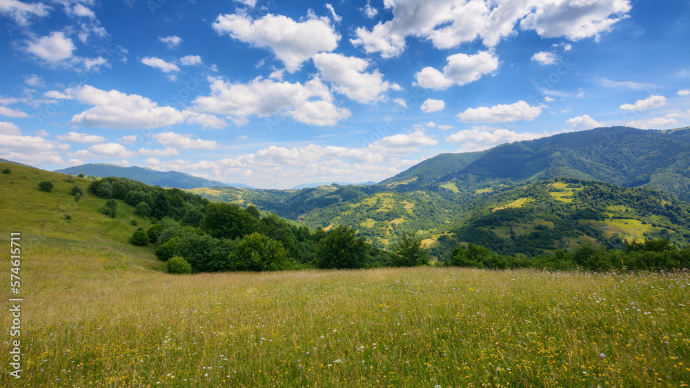 a picturesque mountainous countryside scene featuring a serene meadow and lush green pastures. the vast grassy fields stretch out under the bright summer sky, creating a stunning landscape
