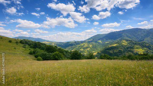 a picturesque mountainous countryside scene featuring a serene meadow and lush green pastures. the vast grassy fields stretch out under the bright summer sky  creating a stunning landscape