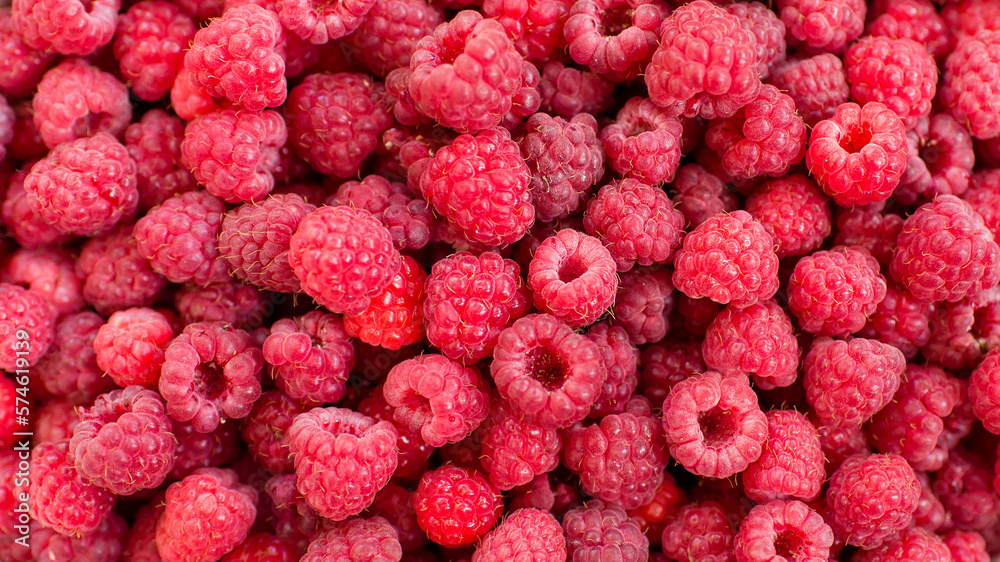 Raspberries background. Fresh red berries of ripe raspberries Raspberries background. Fresh red berries of ripe raspberries
