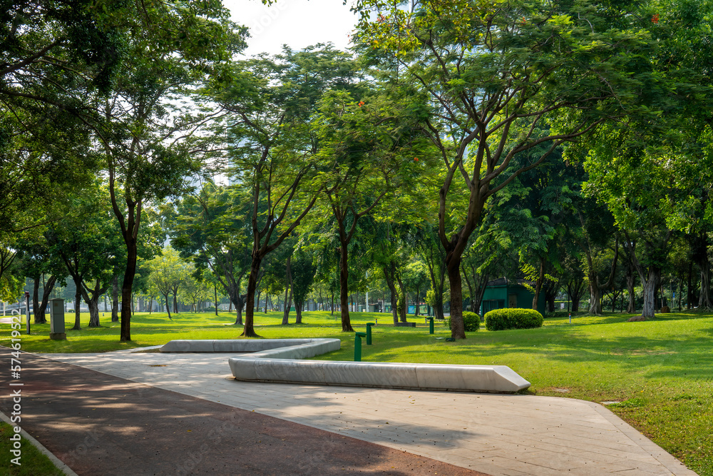 city park green forest and road