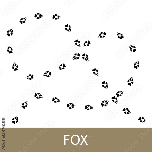 Traces of forest mammal animal, footprints of fox, vector illustration