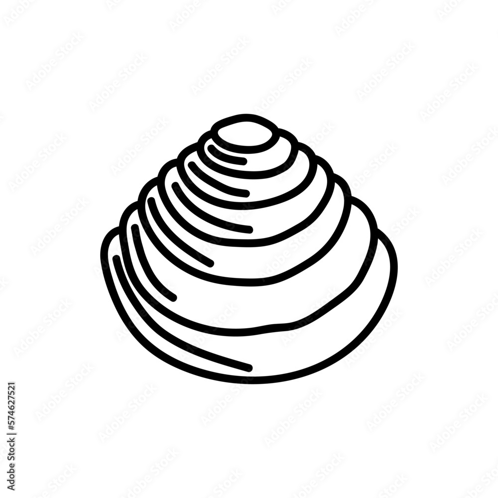 Seashells vector Hand drawn illustrations. mollusk sea shells line icon