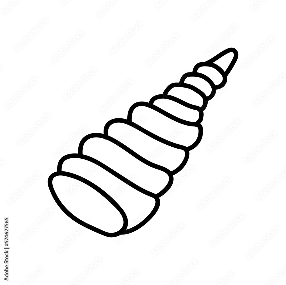 Seashells vector Hand drawn illustrations. mollusk sea shells line icon Seashells vector Hand drawn illustrations. mollusk sea shells line icon