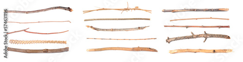 Set of different dry tree branches on white background