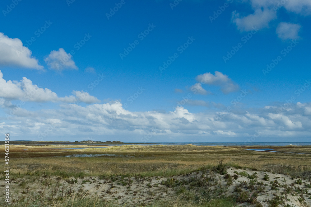 Fototapeta premium Duinen op Vlieland, Dunes at Vlieland