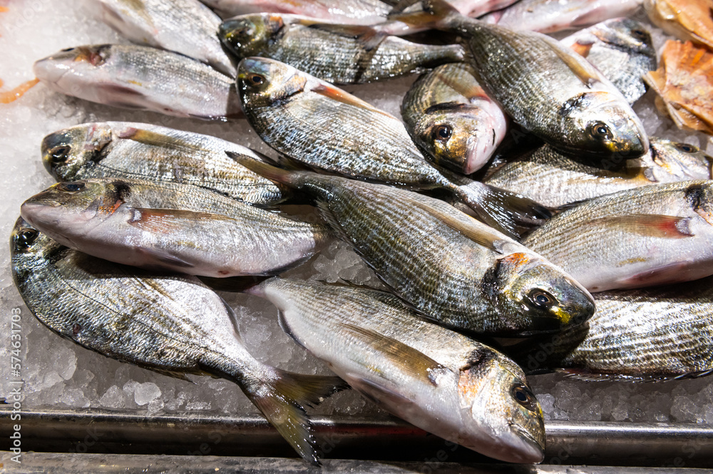 Fototapeta premium fresh fish on fish market