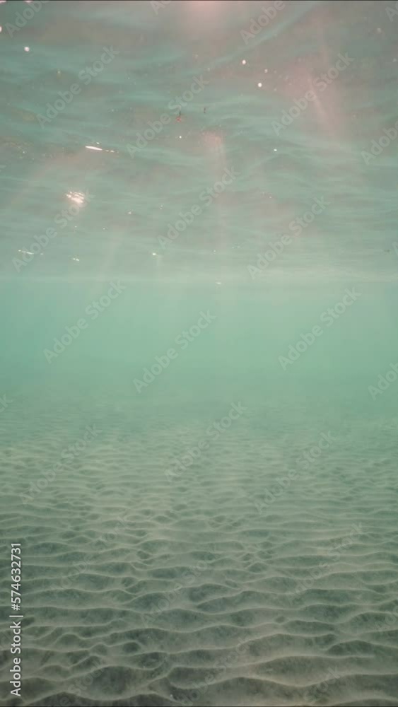 Vertical video, Low angle wide shot sun rays penetrating surface of water in the morning time. Slow motion, Underwater light creates beautiful veil, consisting of sunlight in the morning time Vertical video, Low angle wide shot sun rays penetrating surface of water in the morning time. Slow motion, Underwater light creates beautiful veil, consisting of sunlight in the morning time