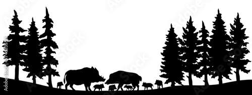 Black silhouette of wild animals, wild boar boars with babies in the forest with fir and spruce trees landscape panorama illustration icon vector for logo, isolated on white background