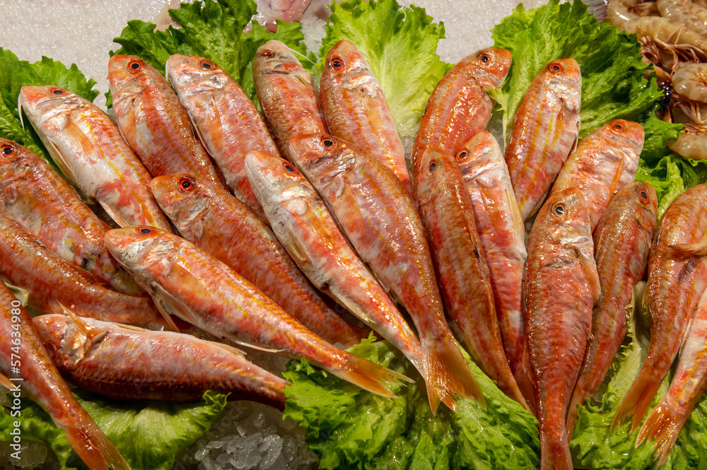 fresh mullets on fish market