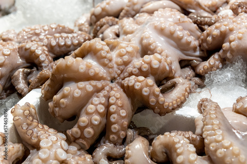 fresh octopus on fish market