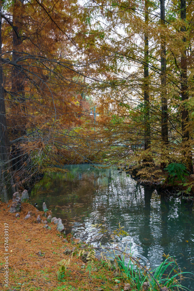 Fototapeta premium Sempione park in Milan at fall