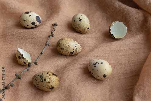 Quail eggs and branch on pasel fabric background. Easter creative concept. Still life composition