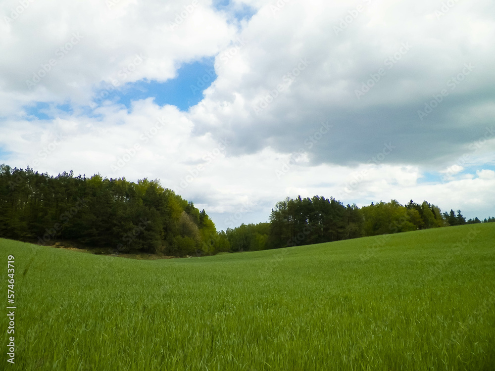 Green fields in Kashubia region - Northern Poland. Cloudy day, travel and nature concept. Green fields in Kashubia region - Northern Poland. Cloudy day, travel and nature concept.