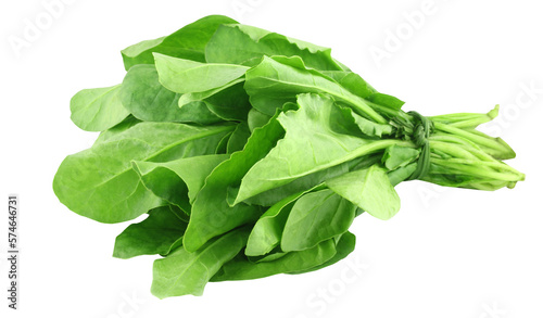  Spinach bundle