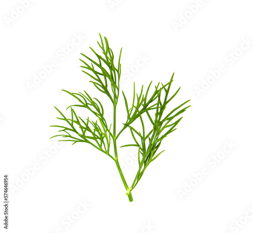 Canvastavla Fresh dill  isolated on  transparent png