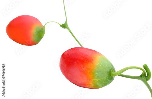 Medicinal telakucha fruit photo