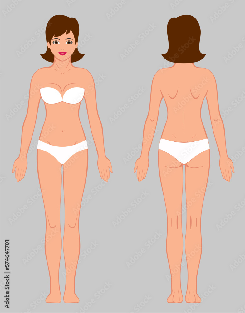 woman, body, silhouette, vector, naked, figure, anatomy woman, body, silhouette, vector, naked, figure, anatomy
