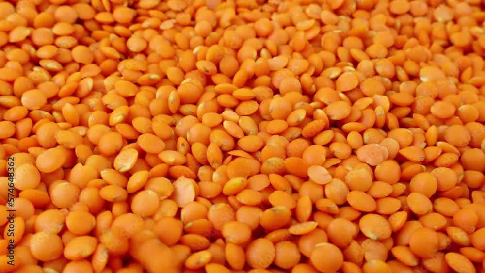 Bright red lentils uncooked seeds falling down with circle rotation close up Bright red lentils uncooked seeds falling down with circle rotation close up