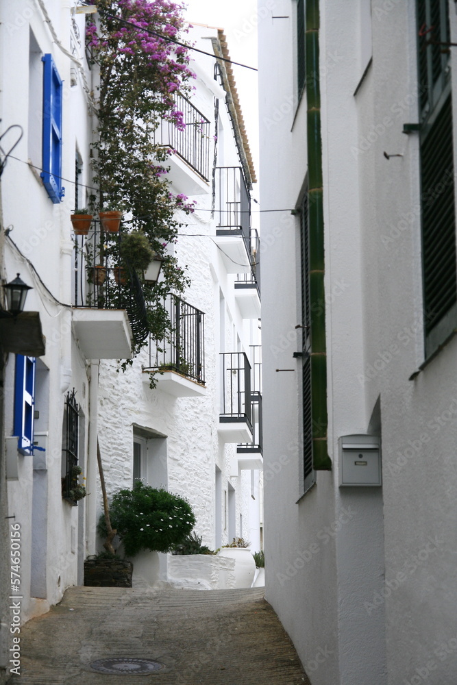 Fototapeta premium Le centre historique de la ville de Cadaqués, située dans la région de Catalogne en Espagne, est un labyrinthe de ruelles pavées et d'habitations blanches aux volets et portes bleues