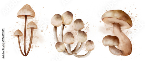 forest mushroom set autumn colorful botanical realistic cute watercolor