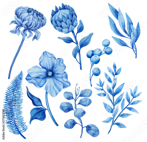 indigo botanical floral flower watercolor illustration navy blue