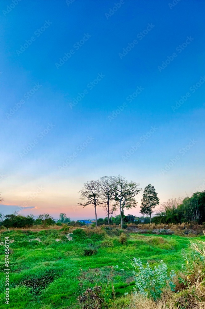 Fototapeta premium our home sky