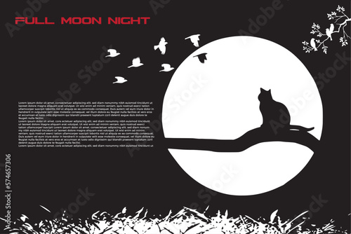 Notte di luna piena 