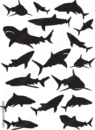 Obraz Ryba, Morze, ikona, rekon, symbol, ocean, wektor, png, bez tła, sylwetka, nurkowanie 