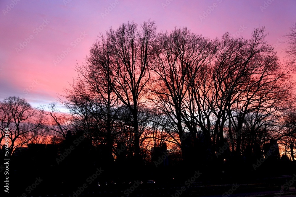 Sunsets Sunsets