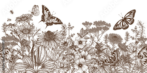Seamless horizontal vector pattern of medicinal herbs, butterflies and bees. Linear chamomile, chicory, clover, lavender, plantain, valerian, echinacea, rosehip, coltsfoot, ginkgo, nettle