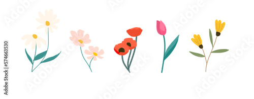 set of flower colorful element illustration vector eps jpeg png