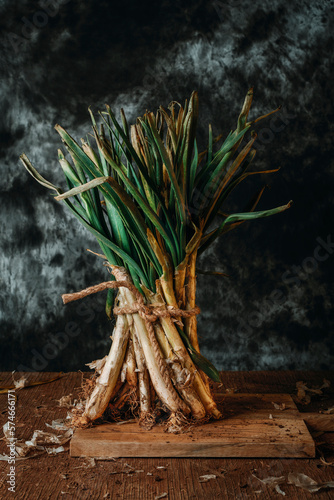 Obraz na płótnie bunch of raw calcots, sweet onions typical of Catalonia w salonie