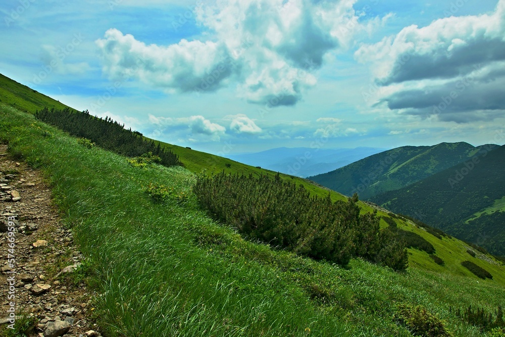 Obraz premium Slovakia-view of the Tatras from the Journey of the Heroes of SNP near Stefanik's cottage in the Low Tatras