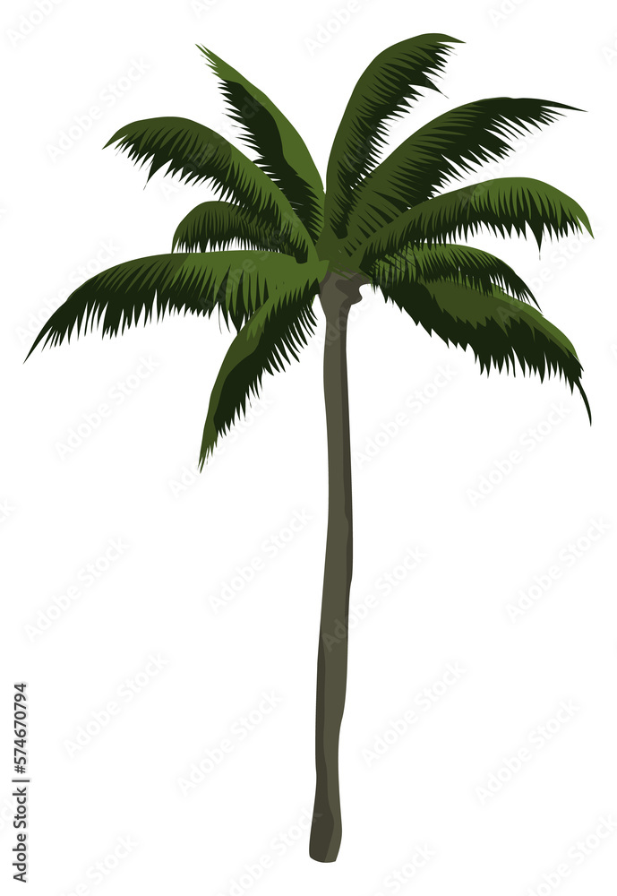 Fototapeta premium Palm icon. Exotic tropical tree. Beach symbol