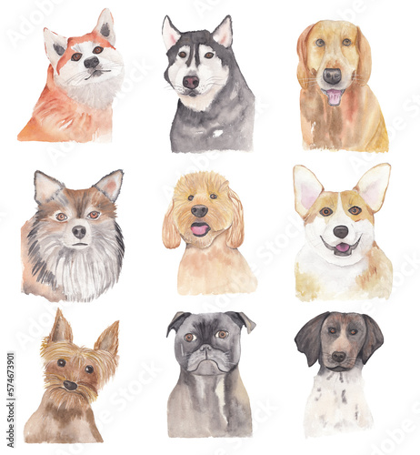 Dog portrait set Watercolor illustration of cute domestic animal Scrapbooking  invitation  post card  greeting card  baby shower graphics. Collection og cute puppies 