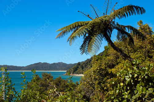 turquoise water bay in abel tasman national park, southern island new zealand