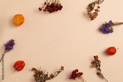 Mockup of a background decorated with a composition of dried branches and red and blue flowers along with orange physalis, arranged around a beige background