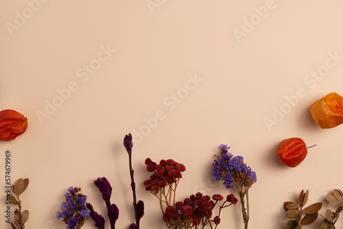 The background mockup is decorated with a composition of dried branches and red and blue flowers along with orange physalis, placed at the bottom on a beige background
