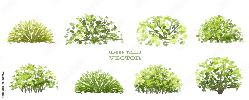 Vector watercolor of tree side view isolated on white background for landscape  and architecture drawing, elements for environment and garden, painting botanical for section and elevation for spring 