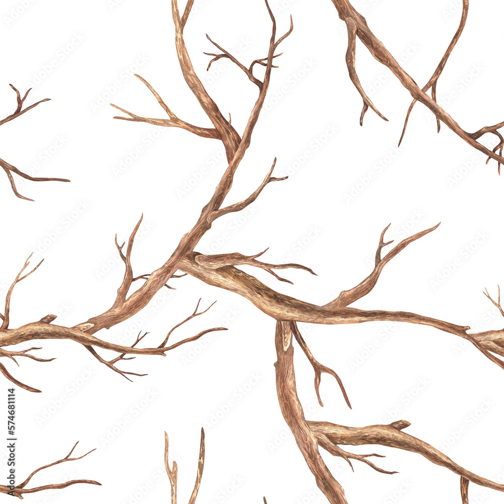 Seamless pattern with brown twigs. Watercolor illustration. Branches of a tree. Isolated on a white background. For rustic print design, fabrics, wrapping paper, interior decorations in boho style
